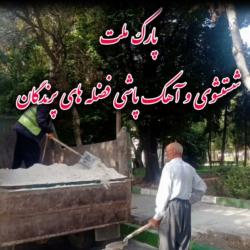 آهک پاشی و تنظیف پارک ملت