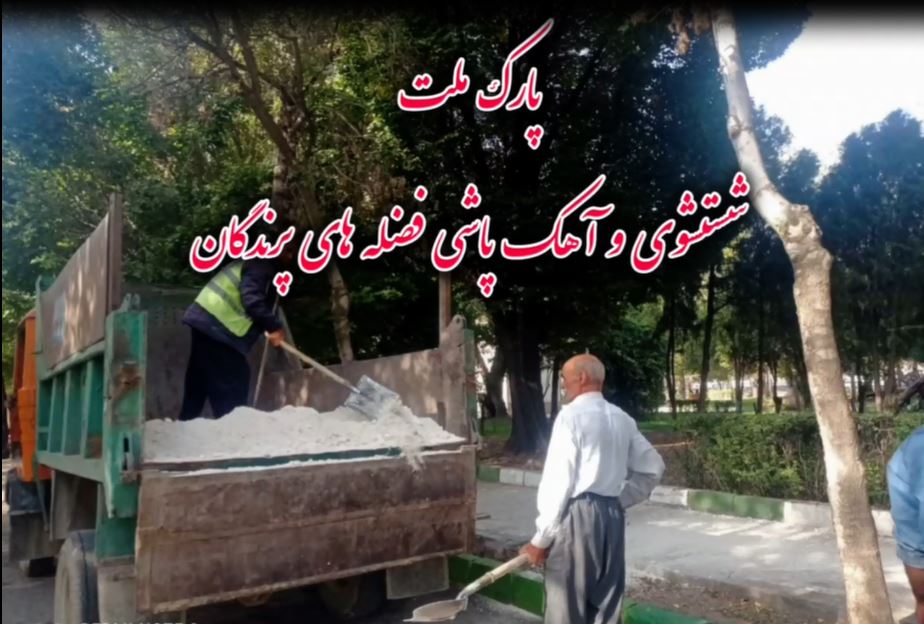 آهک پاشی و تنظیف پارک ملت